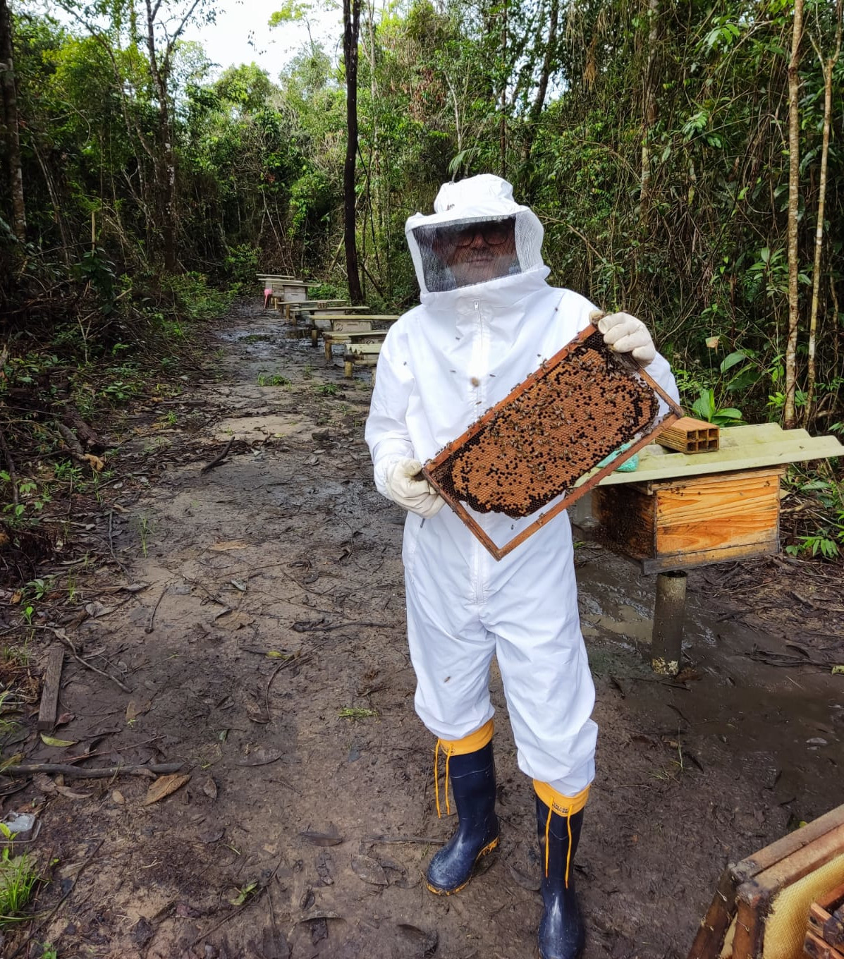 homem-com-quadro-de-abelha-nas-maos